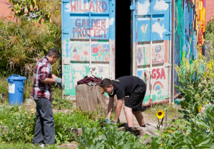 142-MattTsang-20150409